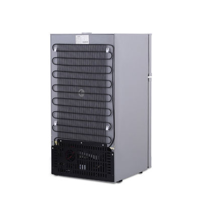 Isolamento C5H10/C-pentano 88L Frigorífico de carro para Tesla Car e design leve