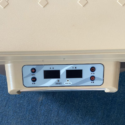 Refrigerador de automóveis mais recente com compressor 18.5 Kgs 12V/24V Refrigerador portátil congelador